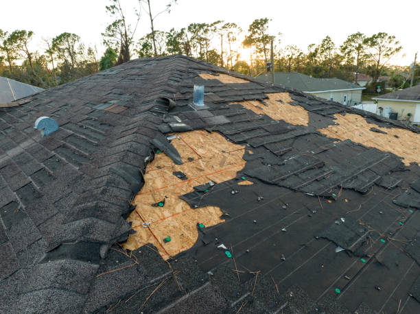 Asphalt Shingles Roofing in Puget Island, WA